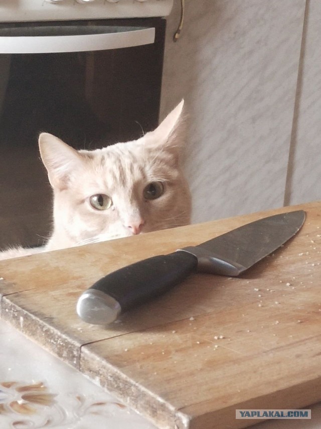 Топить поздно...