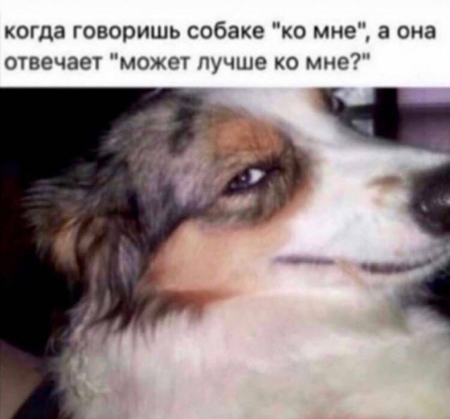 Картинки аморальные и всякие разные - 33