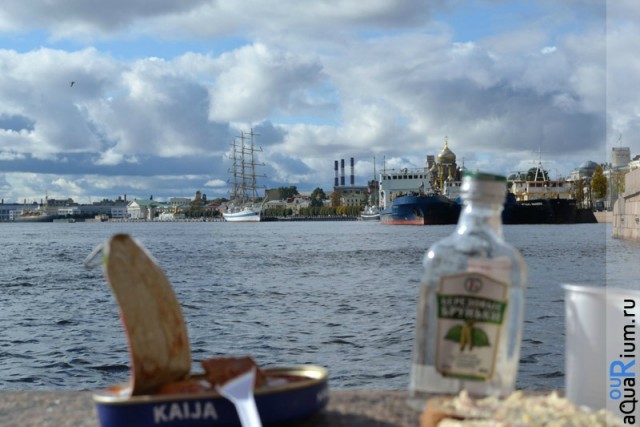 СПб глазами уставшего туриста...