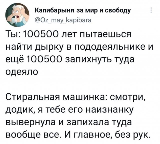 Чуток картинок 26.07.22