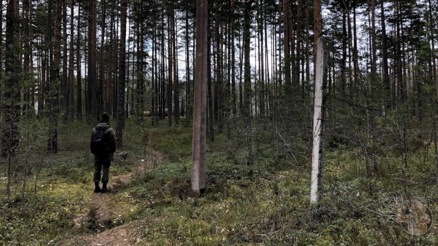 Заброшенный полигон высоковольтных испытаний: загадочные находки в лесу оставшиеся со времен СССР