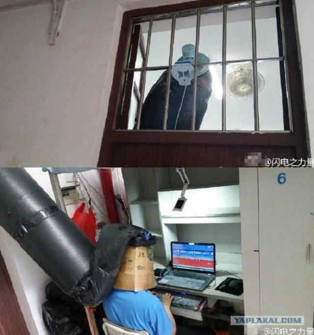 Я у мамы инженер