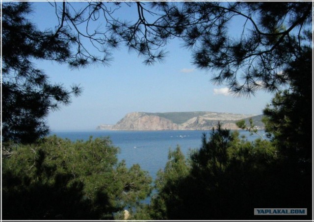 Крым. Мыс Ая. Деревья моря.