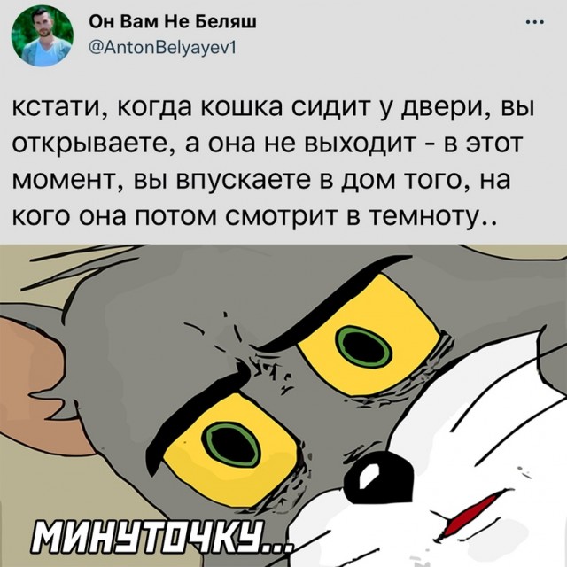 Весёлый полтишок 10.10.22