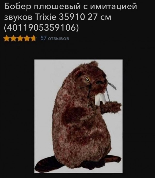 Говорящий взгляд кота