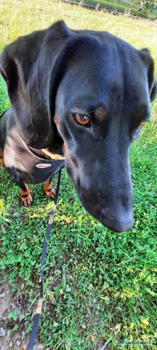 Конкурс Коротких Креативов №27