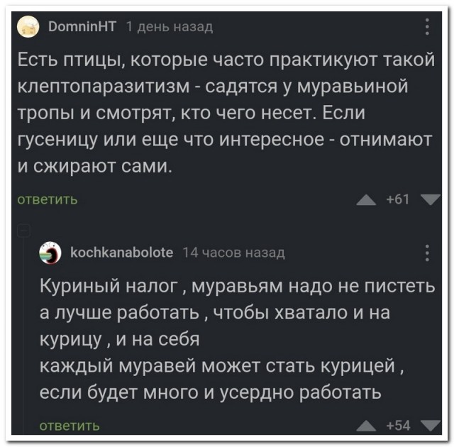 Забавные комментарии из социальных сетей (23.01.23)