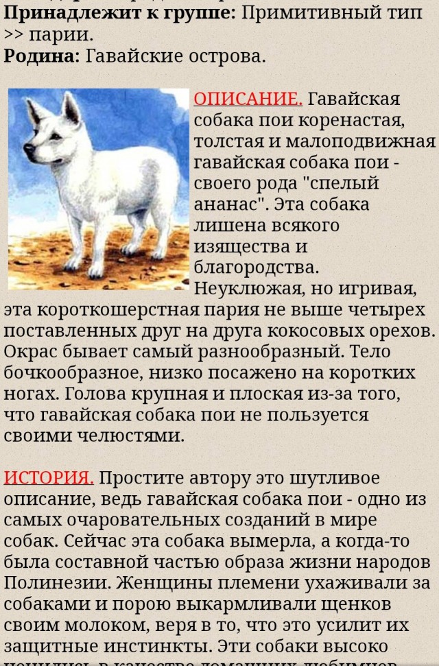 Вымершие породы собак: каких псов уже не существует