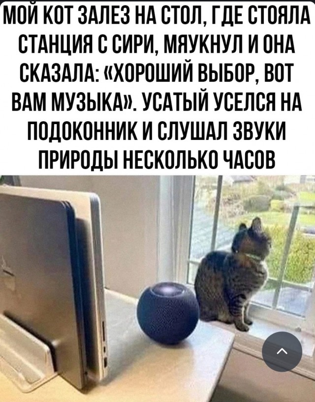 Картинки и мемы, всяко разно - 175