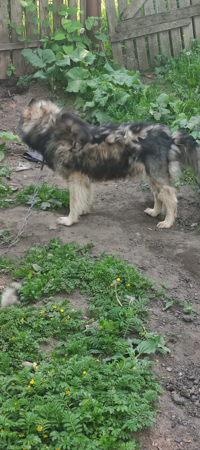 Всё-таки четверг