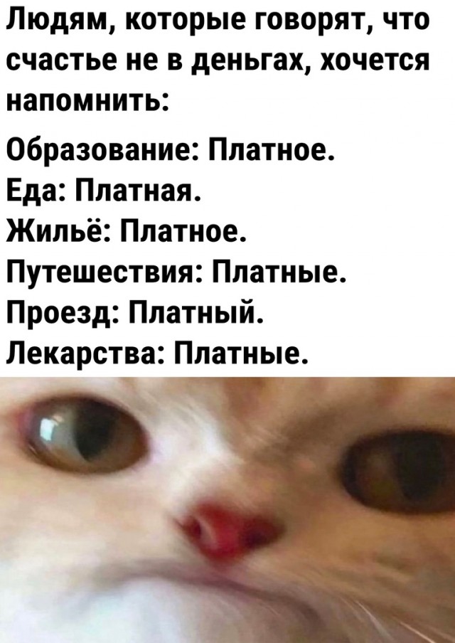 Так себе картинки 28.07.23