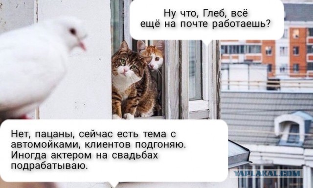 Жена собралась разводиться! Часть 2