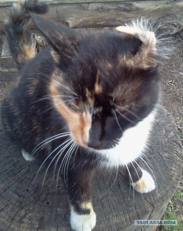 Мама, он меня бьет!