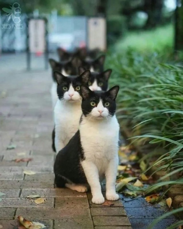 Прикольные и просто красивые картинки 19.09.2023