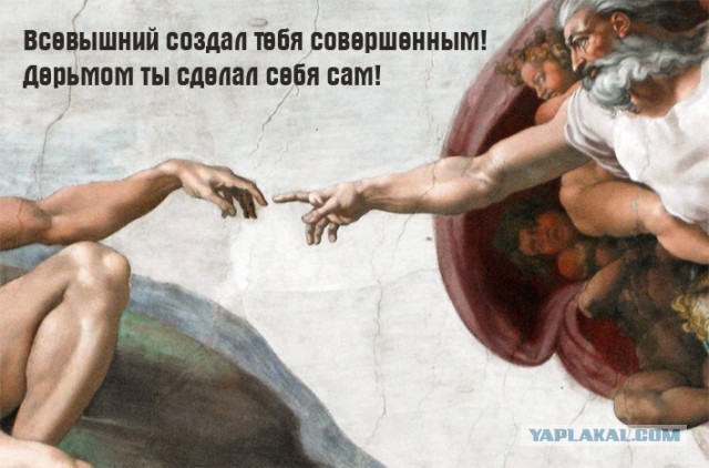 Не много весёлых картинок