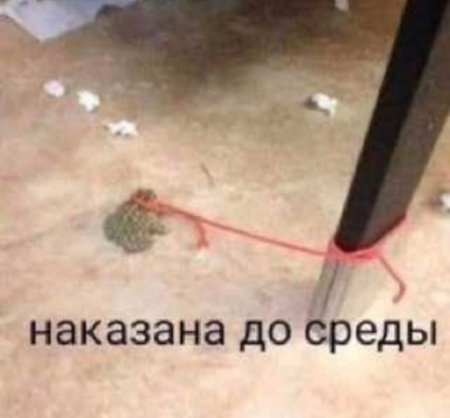 Всего понемногу. От 24.01.24