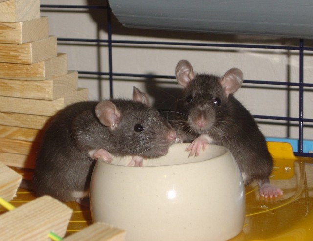 На святое покусилась⁠⁠