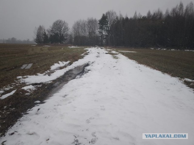 Жизнь домашнего приюта для котеек 482