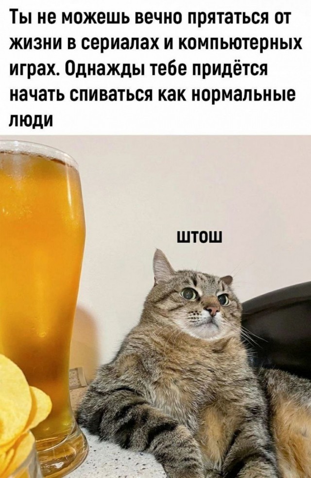 Ставь лайк