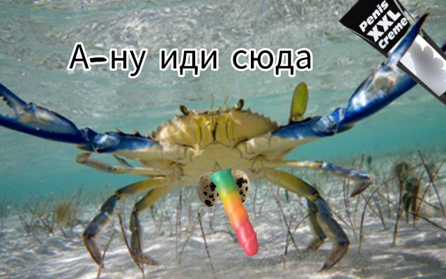 Работа в море. Sweet home Alabama, ч.4
