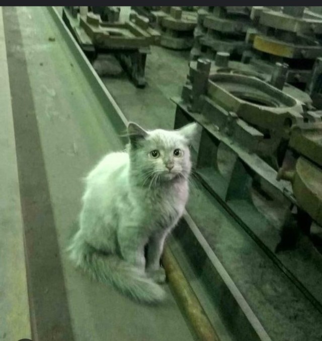 Пролетарский понедельник