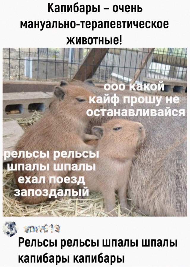 Так себе картинки 24.06.24