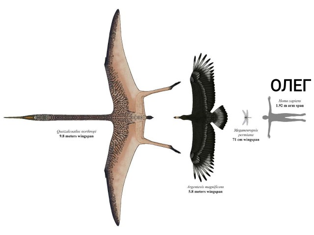 Сборник бабаянов или неожиданная помойка от Неждалигады
