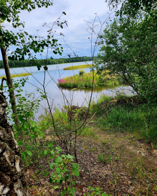 ФотоВинегрет