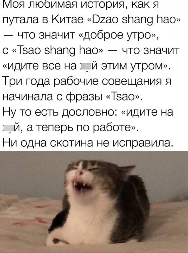 Так себе картинки 20.10.24