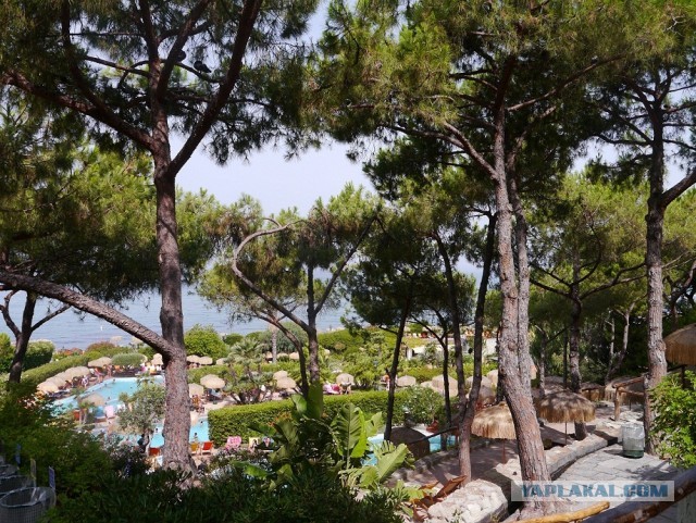 Остров Искья, Италия.