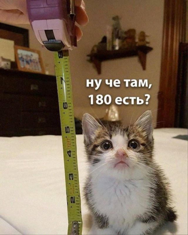 Всего понемногу. От 20.01.2025