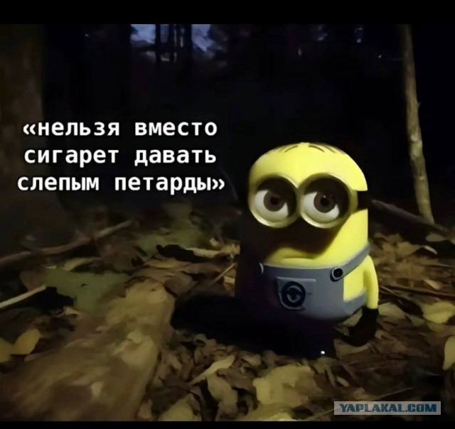 18 печальных картинок.