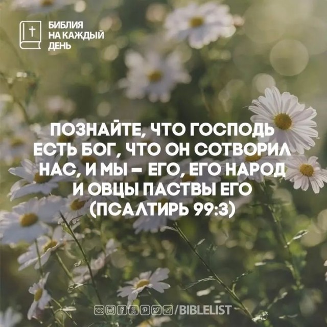Прикольные и просто красивые картинки 14.03.2025