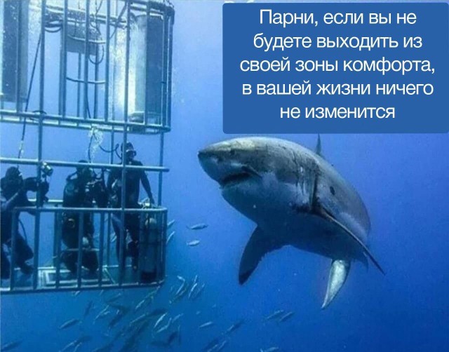 Так себе картинки 29.03.25