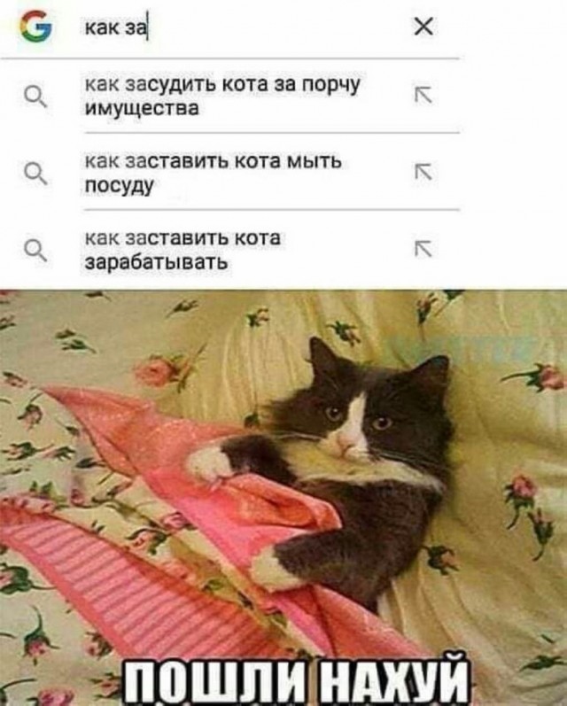 Так всякие картинки