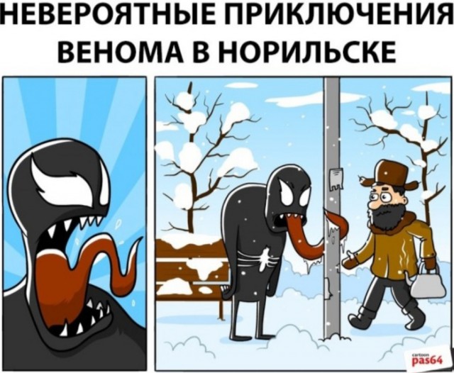 Так себе картинки 06.05.25