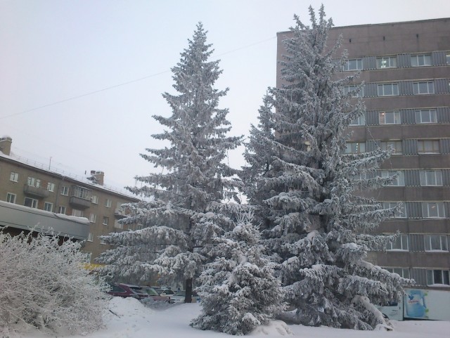 Администрация.