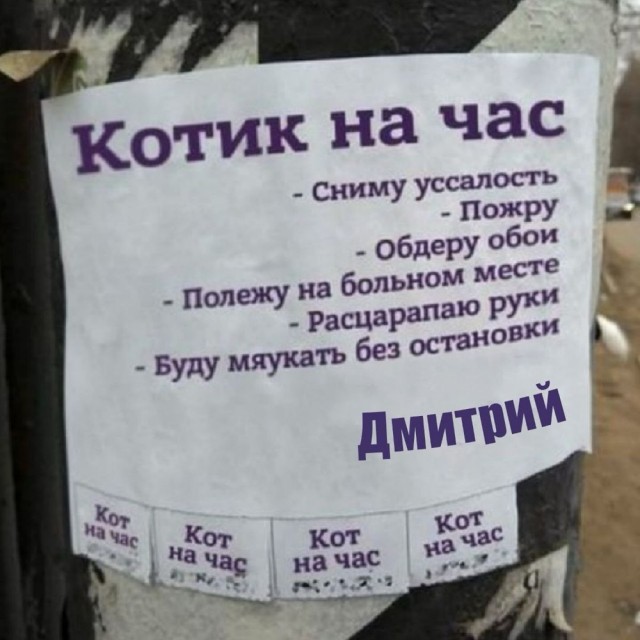 Прикольные и просто красивые картинки 13.06.2025