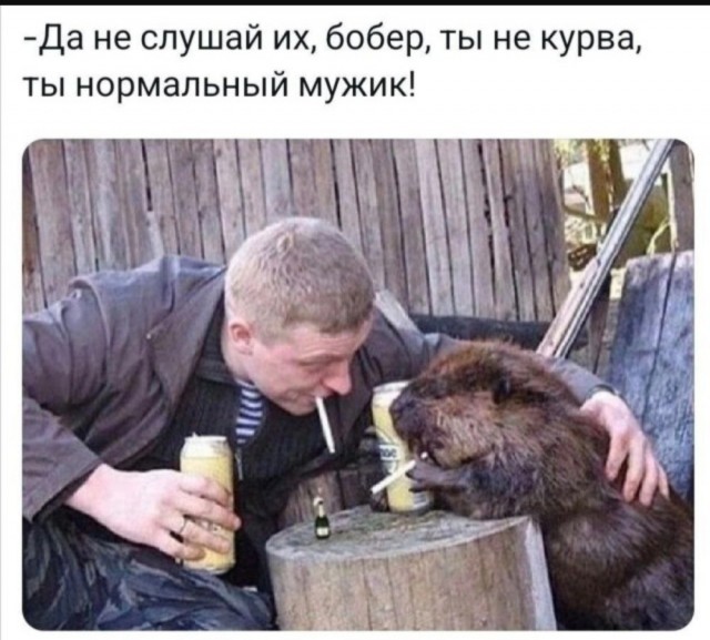 Так себе картинки 14.06.25