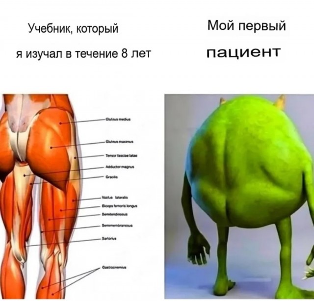 Картинки для деградации-6 (разной степени свежести)