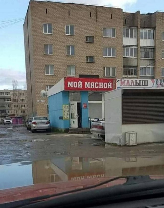 Веселое настроение в картинках (07.08.2025)