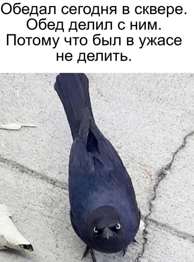 Картинки для деградации 35 (разной степени свежести)