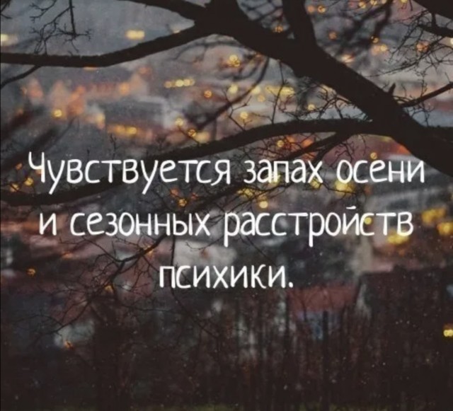 Жительница Воскресенска сгорела заживо в собственной квартире. Её дверь подожгла соседка, обвинив в краже собаки