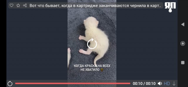 Вот что бывает, когда заканчиваются чернила в картридже