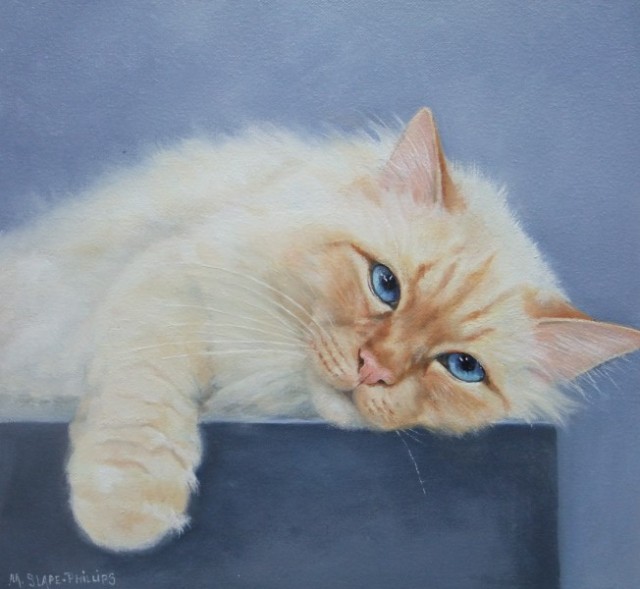 Картины к котовторнику