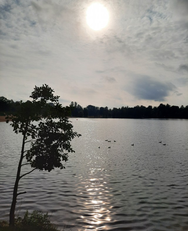 Красивые картинки