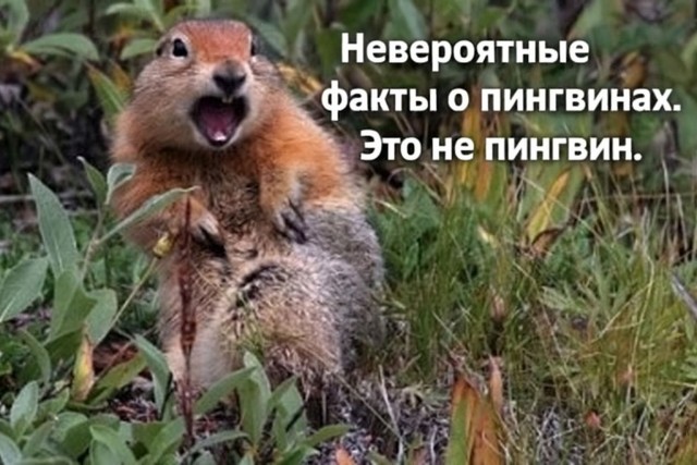 Пришло время *** зачёркнуто ***.