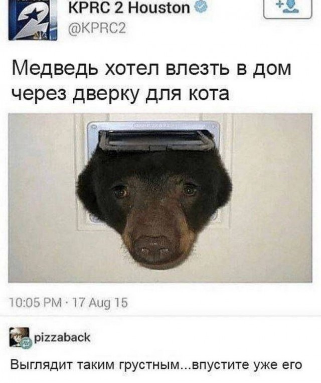 Нуштош. Лужа истекшего периода (s5e3)