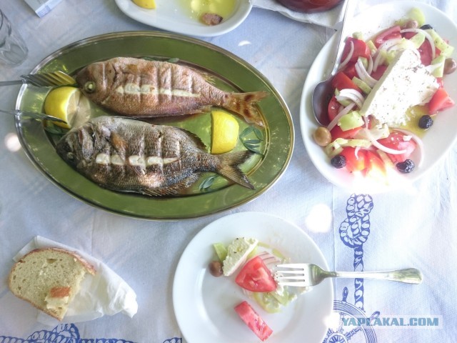 Блюда из Казахстана и Армении вошли в список самой невкусной еды в мире.