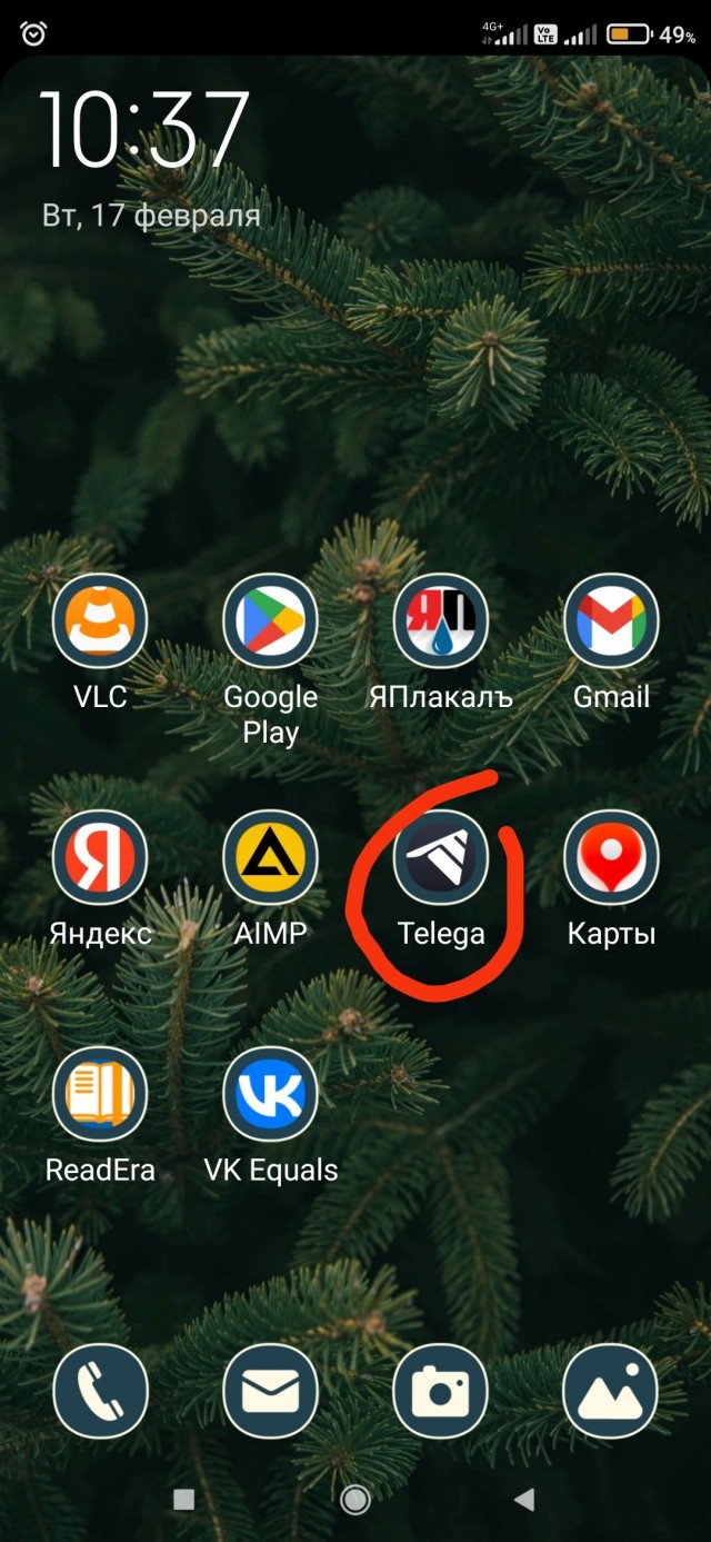 #Голубеграм